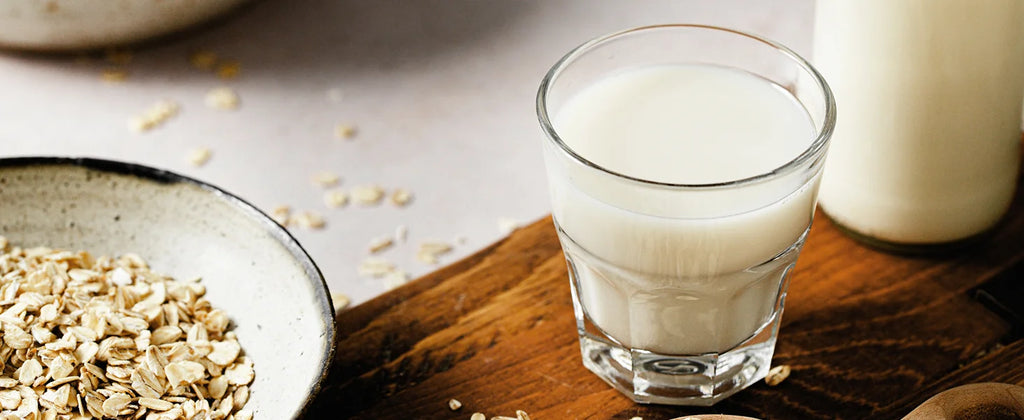 10-in-1 Electric Nut Milk Maker displaying its delay start feature for convenient meal prep.